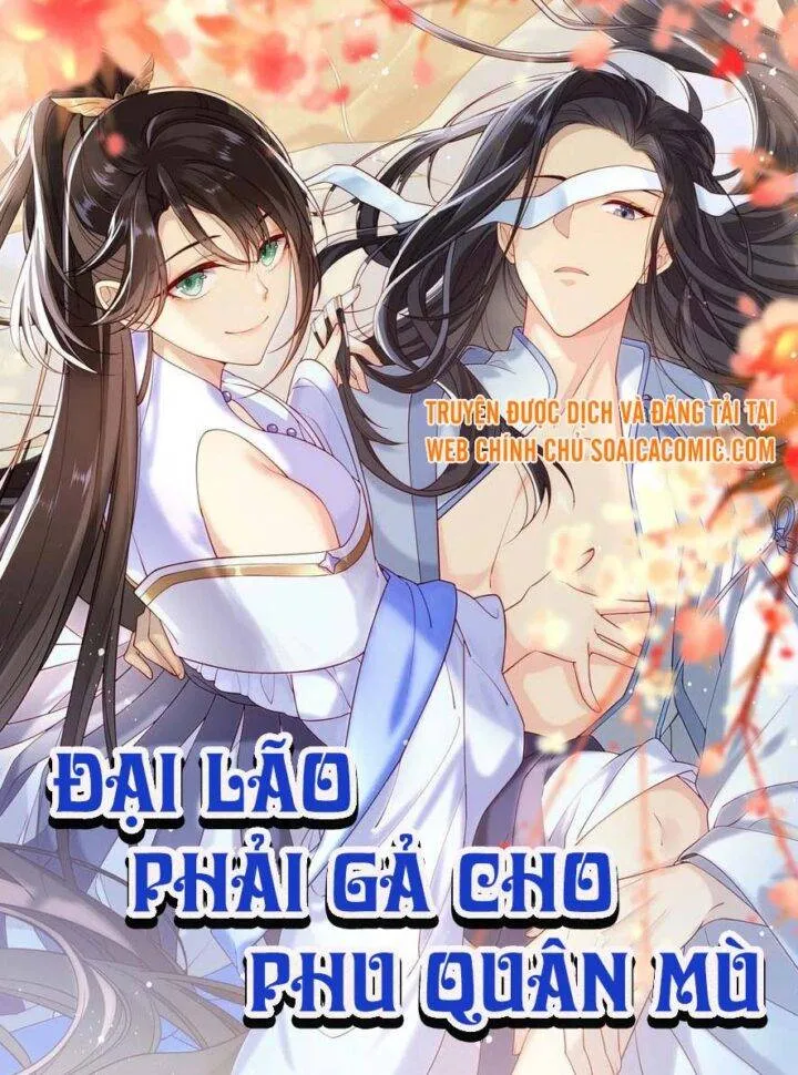 Đại Lão Phải Gả Cho Phu Quân Mù!
