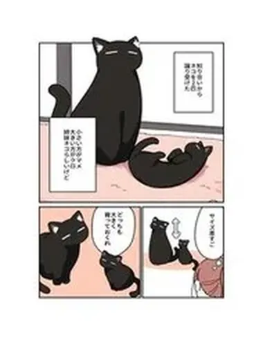 Kuroneko No Ohanashi