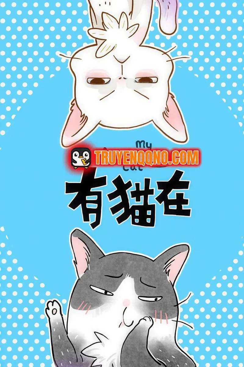Ở Đây Có Mèo